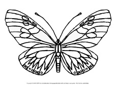 Ausmalbild-Schmetterling 5.pdf
